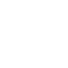 SnelScan